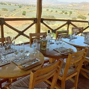 Tequilera Hacienda de Oro Amatitán 5