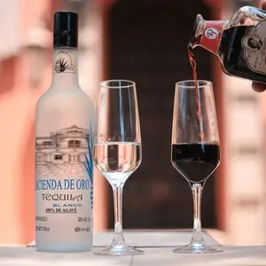 Tequilera Hacienda de Oro Amatitán 6