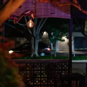 Restaurante Thaiger Guadalajara 3