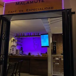 Malamute Coffee House Tepotzotlán 9