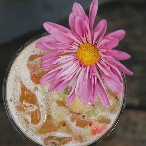 Restaurante Damajuana Mezcaleria Bacalar - foto 4