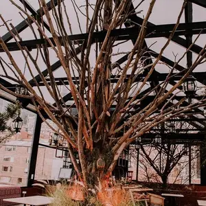Restaurante Sexy Tokyo Rooftop Bogotá 5