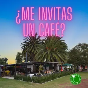 Restaurante Palmas Teotihuacán 8