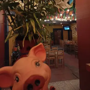 Restaurante Tacos y Mas San Judas 6