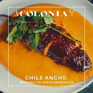 Restaurante La Colonia San Pedro 9