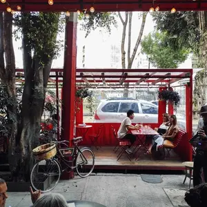 Restaurante Buvette México La Roma  5