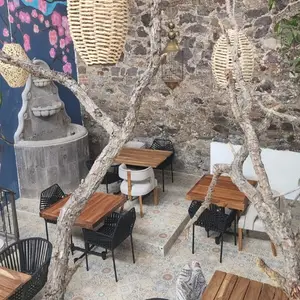 Restaurante Alvero Pachuca  9