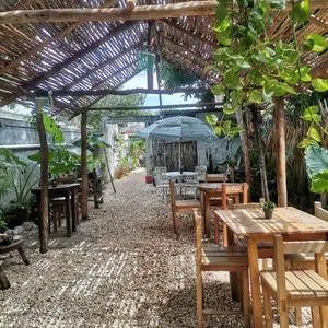 Restaurante Pak'al Fresh Cuisine Valladolid 5