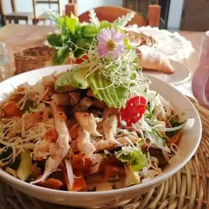 Restaurante Pak'al Fresh Cuisine Valladolid 8