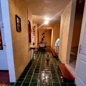 Cafetería Saseny  San Luis 8