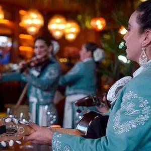 Restaurante Porfirio's Coyoacán  7