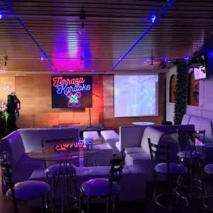 Terraza Karaoke Roma  8