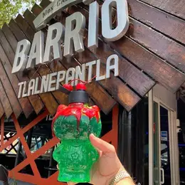 Mex-caleria Barrio Tlalnepantla - foto 2