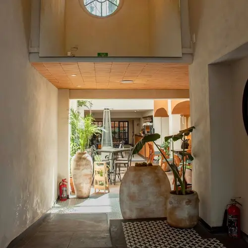Restaurant Mexa Cocina del Alma Roma - foto 1