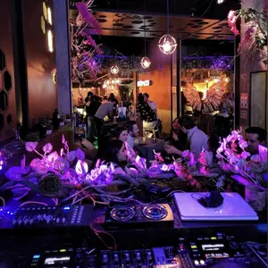 Restaurante ATIPICO Polanco 3