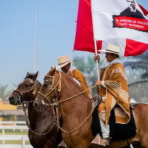 El Rincon De Vallejo Vía de Evitamiento 9