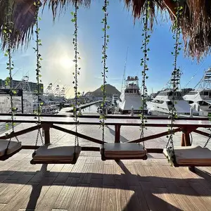 Restaurante Baja Cantina Cabo  5