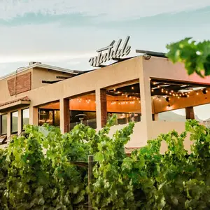 Restaurante Matilde Valle de Guadalupe 6