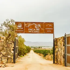 Restaurante Matilde Valle de Guadalupe 1