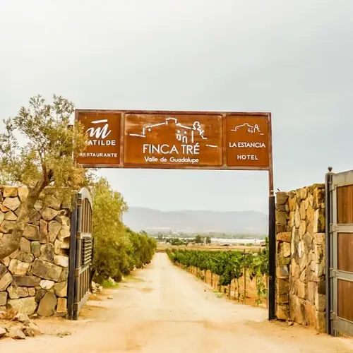 Restaurante Matilde Valle de Guadalupe - foto 1
