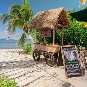 Mayan Monkey Beach Club Isla Mujeres 9