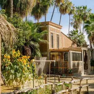 Restaurante DUM Todos Santos 7