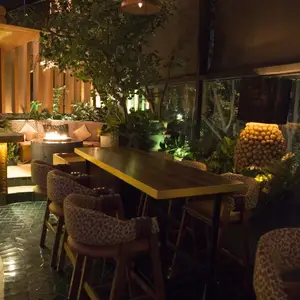 Terraza Panthera Polanco 1