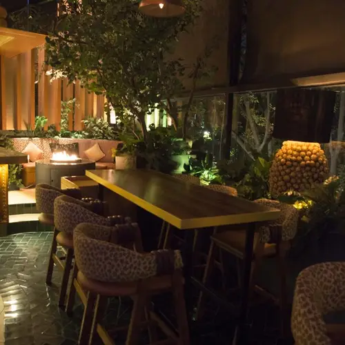 Terraza Panthera Polanco - foto 1