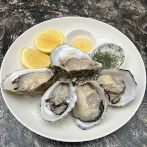 Restaurante Galero Zona Rosa 5