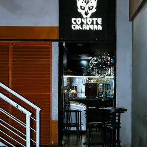 Coyote Calavera Coyoacán 8