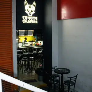 Coyote Calavera Coyoacán 1
