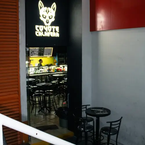 Coyote Calavera Coyoacán - foto 1