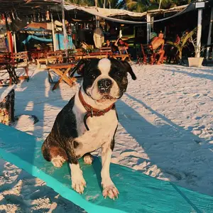 Capitán Capitán Club de Playa Holbox 9