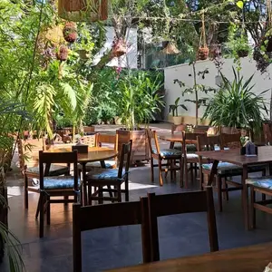Restaurante Zunzún Jungla Insular Roma 7