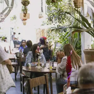 Restaurante Zunzún Jungla Insular Roma 5