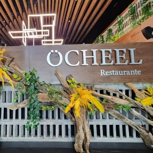 Restaurante OCHEEL Reforma  - foto 1