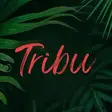 Restaurante Tribu Puebla