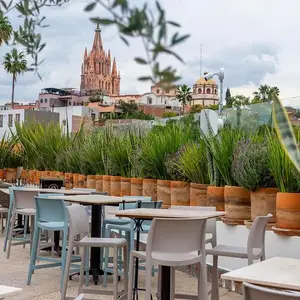 Restaurante Tené San Miguel de Allende 3