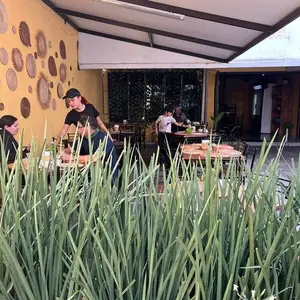 La Cocina De Mamá Susy Zapopan 7