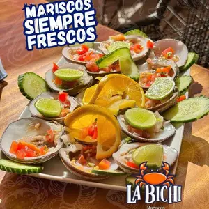 Mariscos La Bichi Manzanillo 6