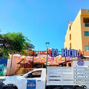 Mariscos La Bichi Manzanillo 3
