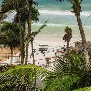 Restaurante NEST Tulum 9