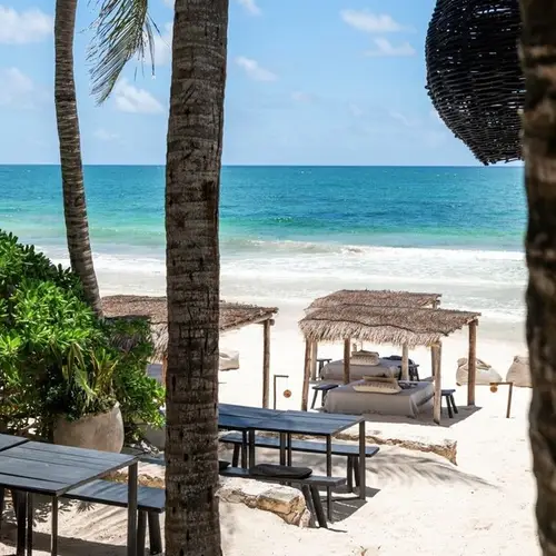 Restaurante NEST Tulum - foto 1