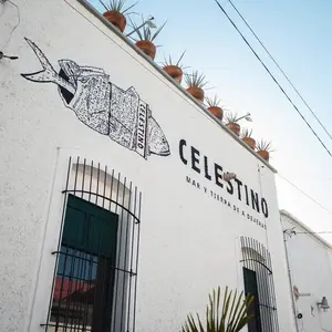 Restaurante Celestino Guadalajara 6