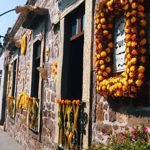 CUISH COCINA BOUTIQUE Morelia 7