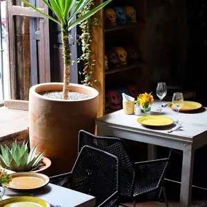 CUISH COCINA BOUTIQUE Morelia 3