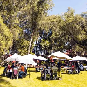 Restaurante Cocina de Hacienda CDMX 7