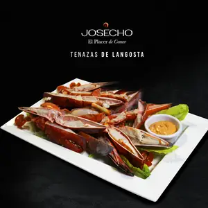 Restaurante Josecho Querétaro 8