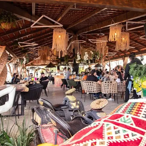 Restaurante Los Camellos Agaves Amatitán - foto 1