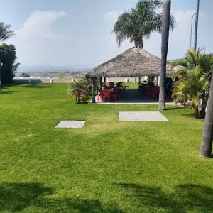 Mestizza Pizzería Artesanal Chipilo 5